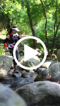 BIB:  <button type="button" onclick="openModal(28052212)" class="btn btn-primary btn-sm float-right" data-toggle="modal" data-target=".modal-high-quality">
                <i class="fa fa-download"></i> Download
                </button>